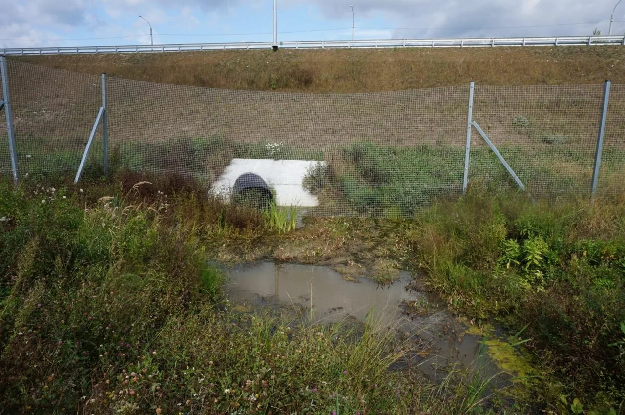 Outlet of drainage ditch 1 from the culvert beneath the M-12 motorway