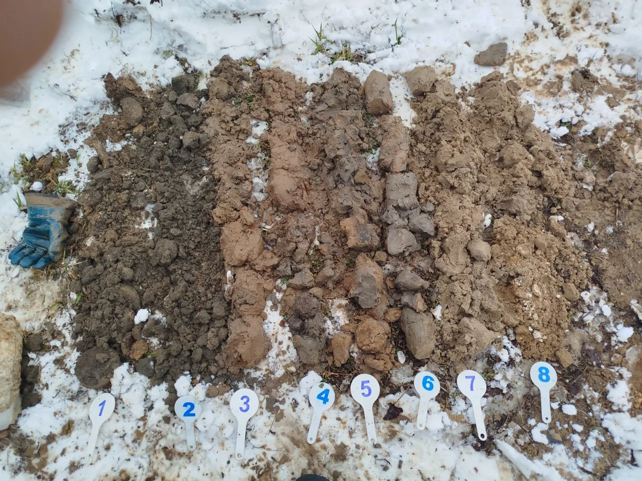 Borehole core: sands and sandy clays by depth, samples 1–8