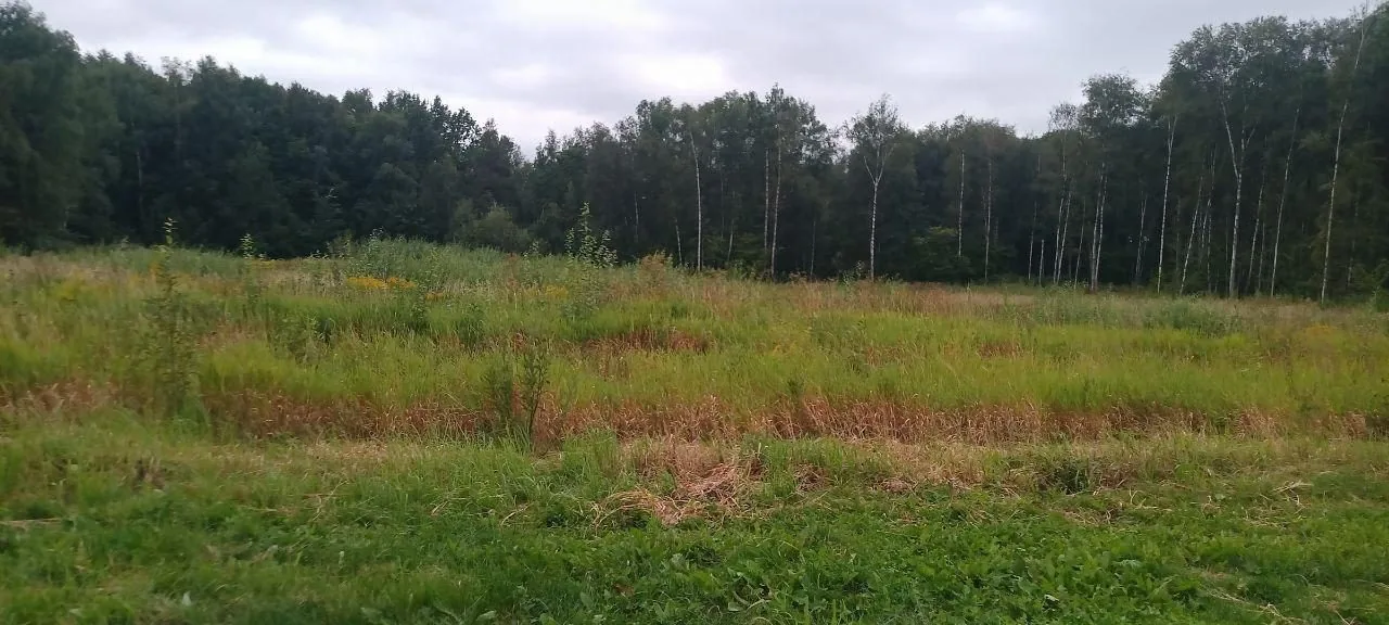 Site before commencement of works